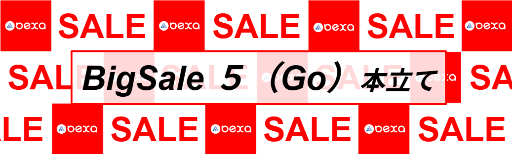 ☆1月3日まで全商品割引キャンペーンセール☆ 16990→16140 年末・年始 【9日間の大型連休｜特別企画】 ☆ Bigセール5（Go